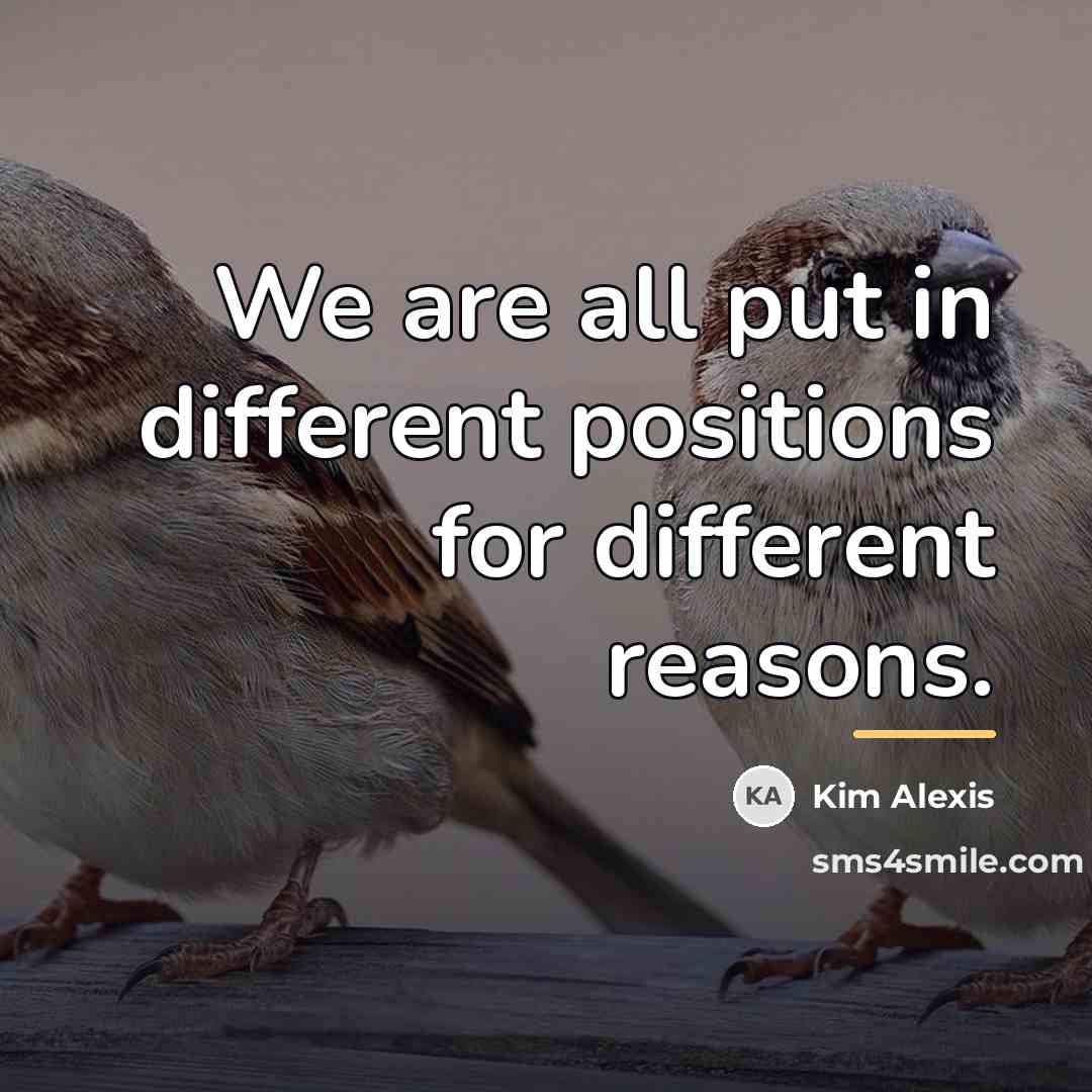 “We are all put in different positions for different reasons.…” quote by Kim Alexis