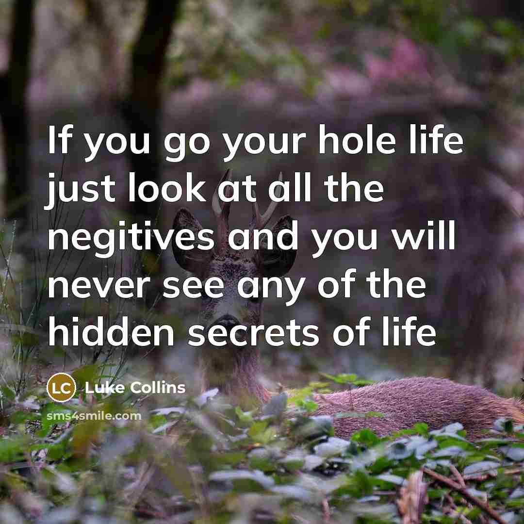 “If you go your hole life just look at all…” quote by Luke Collins