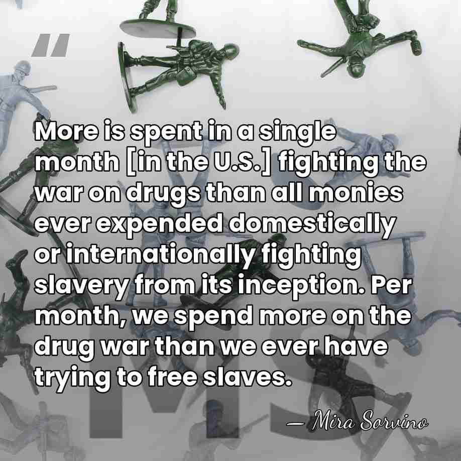 More is spent in a single month [in the U.S.] fighting the&hellip; - Mira Sorvino