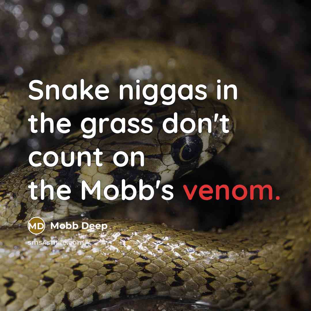 “Snake niggas in the grass don't count on the Mobb's venom.” quote by Mobb Deep