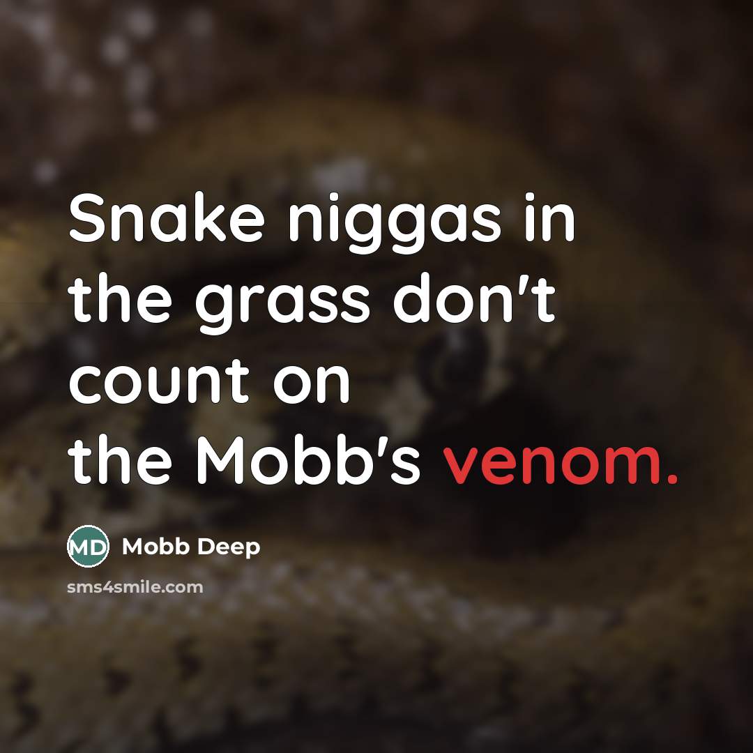 “Snake niggas in the grass don't count on the Mobb's…” quote by Mobb Deep
