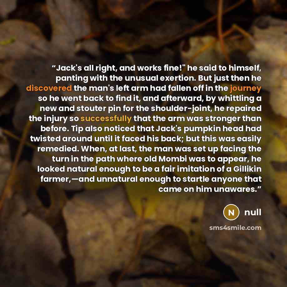 “Jack's all right, and works fine!" he said to himself, panting with the unusual exertion. But just then he discovered the man's left arm had fallen off in the journey so he went back to find it, and afterward, by whittling a new and stouter pin for the shoulder-joint, he repaired the injury so…” quote by null