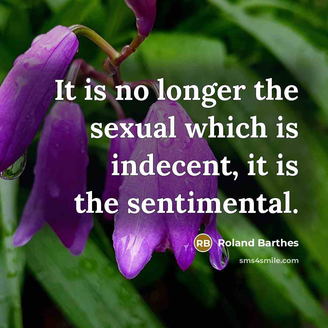 “It is no longer the sexual which is indecent, it is the sentimental.” quote by Roland Barthes