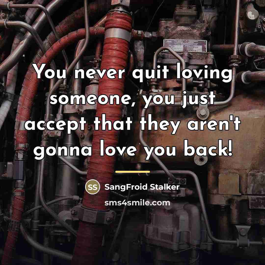 “You never quit loving someone, you just accept that they…” quote by SangFroid Stalker