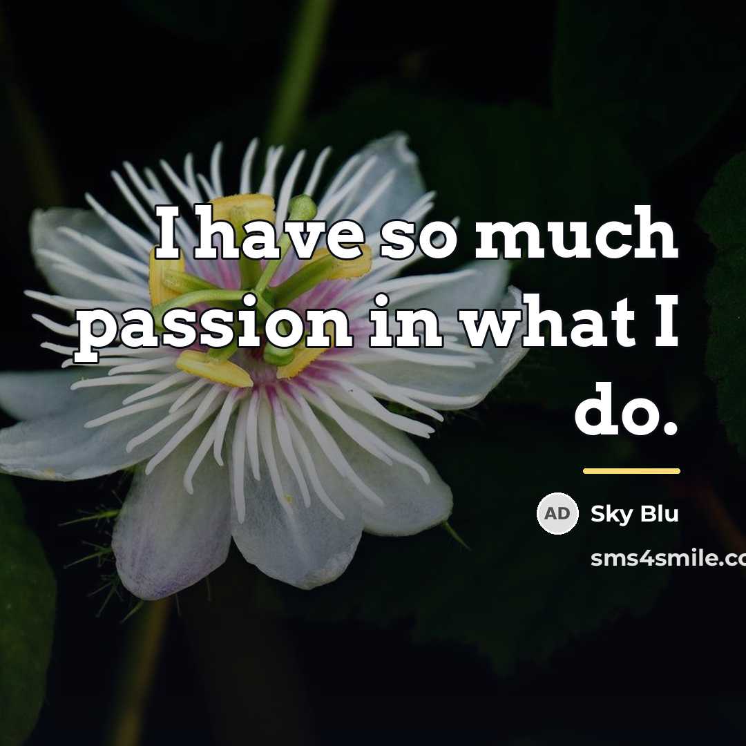 “I have so much passion in what I do.…” quote by Sky Blu