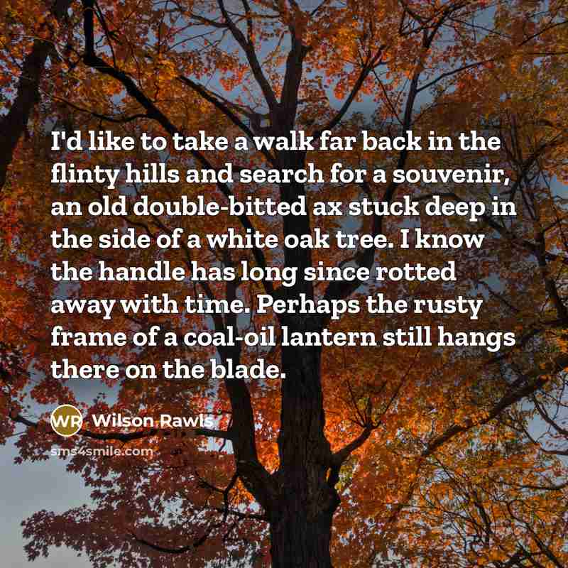“I'd like to take a walk far back in the…” quote by Wilson Rawls