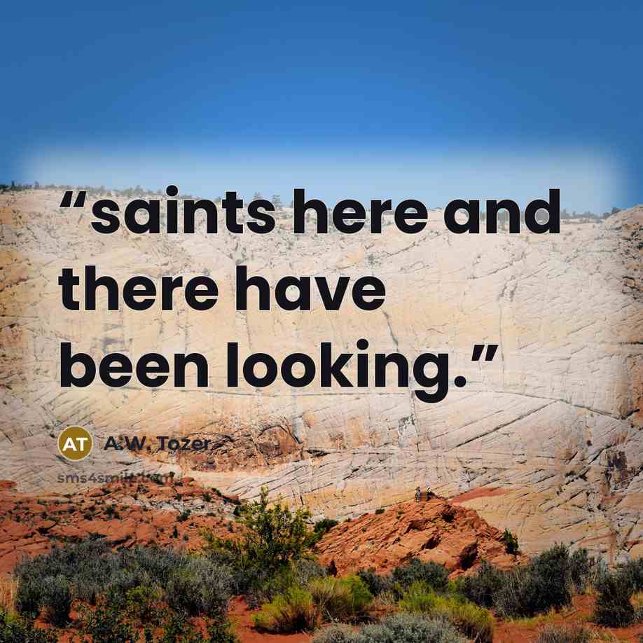 “saints here and there have been looking.” quote by A.W. Tozer