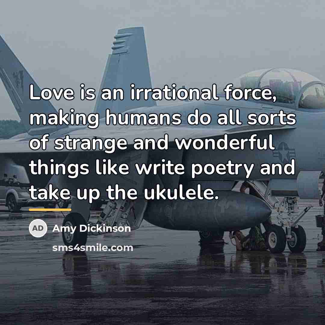 “Love is an irrational force, making humans do all sorts…” quote by Amy Dickinson