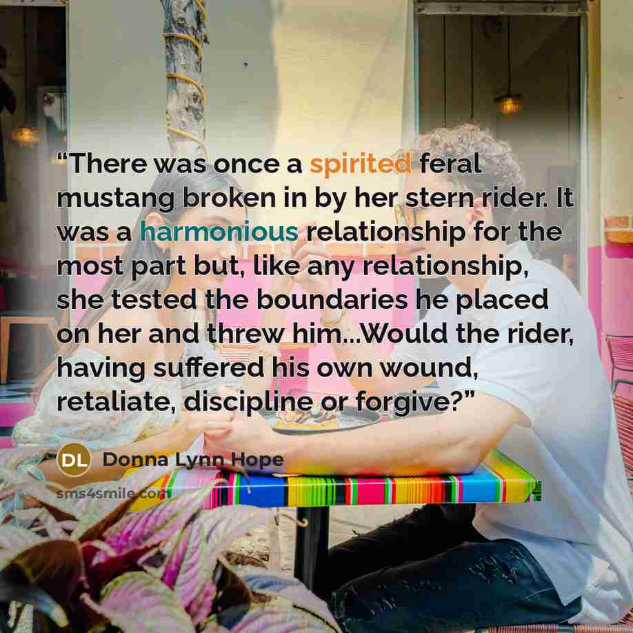 “There was once a spirited feral mustang broken in by her stern rider. It was a harmonious relationship for the most part but, like any relationship, she tested the boundaries he placed on her and threw him...Would the rider, having suffered his own wound, retaliate, discipline or forgive?” quote by Donna Lynn Hope