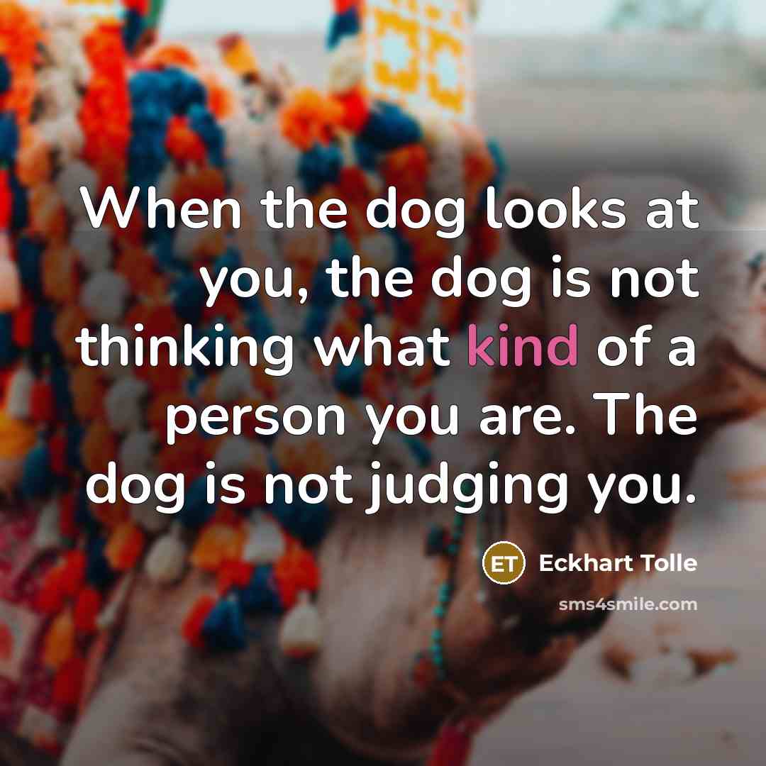“When the dog looks at you, the dog is not thinking what kind of a person you are. The dog is not judging you.” quote by Eckhart Tolle