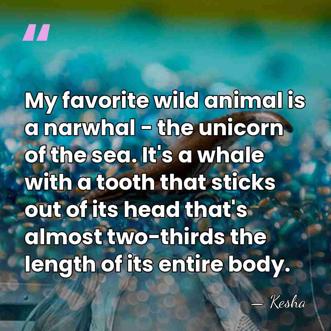 My favorite wild animal is a narwhal - the unicorn of the&hellip; - Kesha