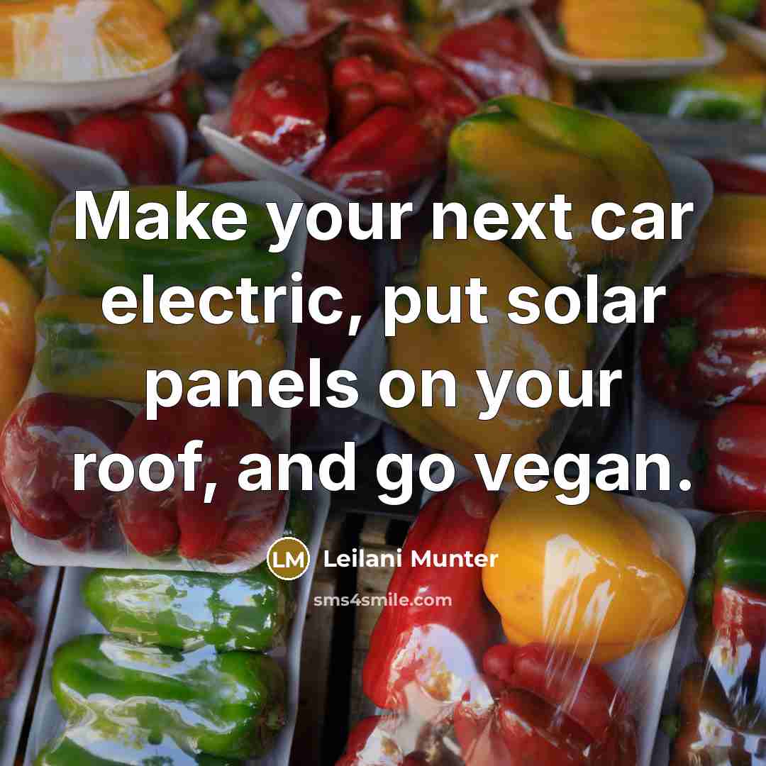 “Make your next car electric, put solar panels on your…” quote by Leilani Munter