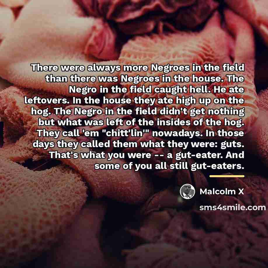 “There were always more Negroes in the field than there…” quote by Malcolm X