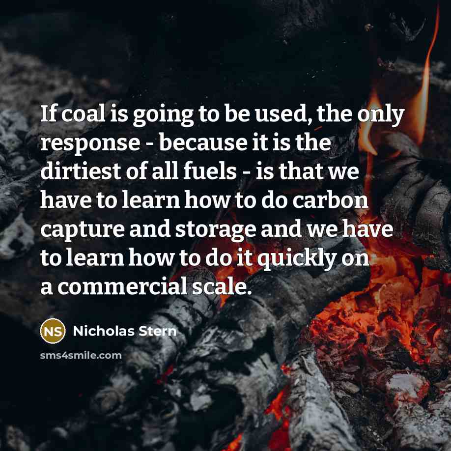 “If coal is going to be used, the only response…” quote by Nicholas Stern