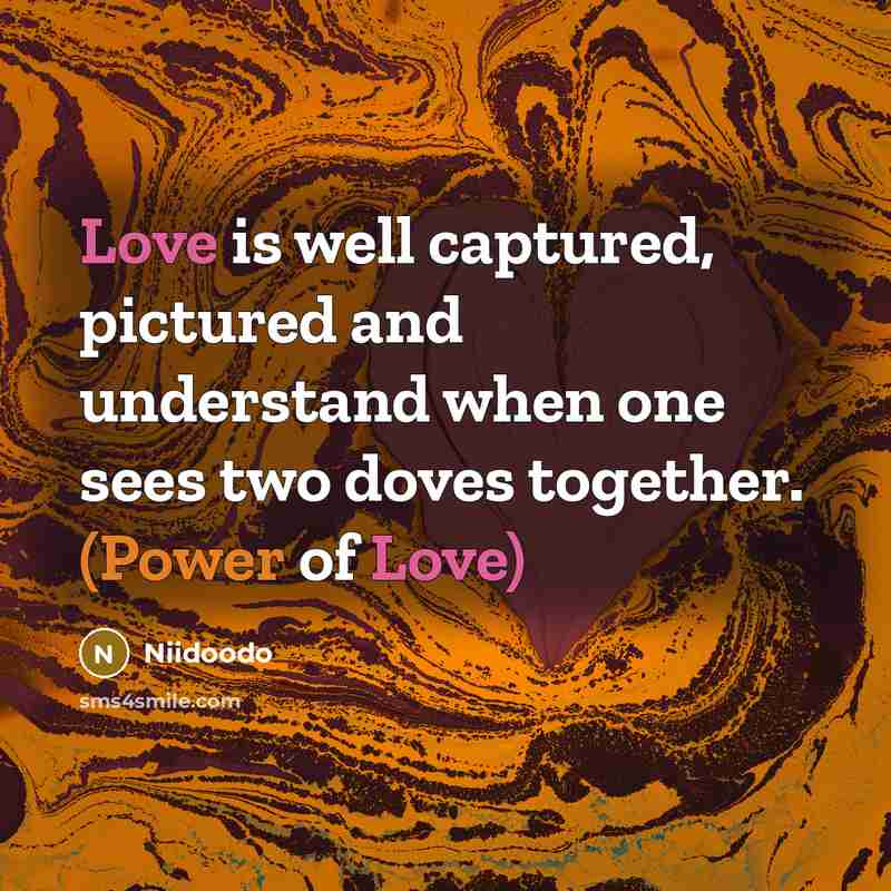 “Love is well captured, pictured and understand when one sees two doves together. (Power of Love)” quote by NIIDOODO