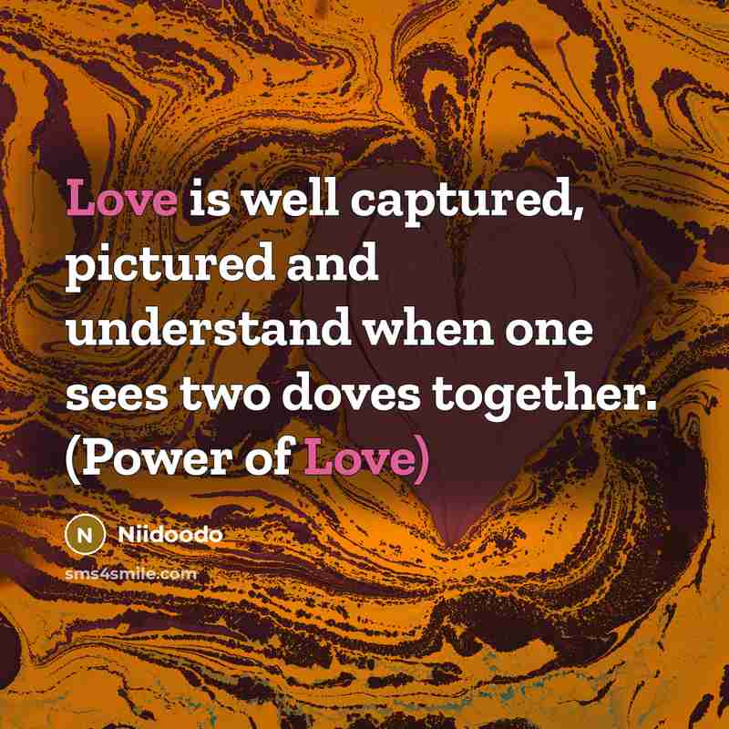 “Love is well captured, pictured and understand when one sees…” quote by NIIDOODO