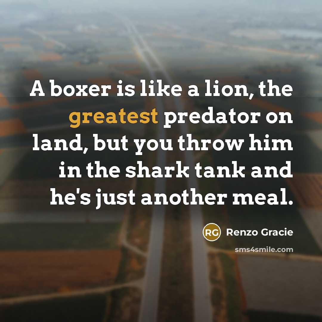 “A boxer is like a lion, the greatest predator on land, but you throw him in the shark tank and he's just another meal.” quote by Renzo Gracie