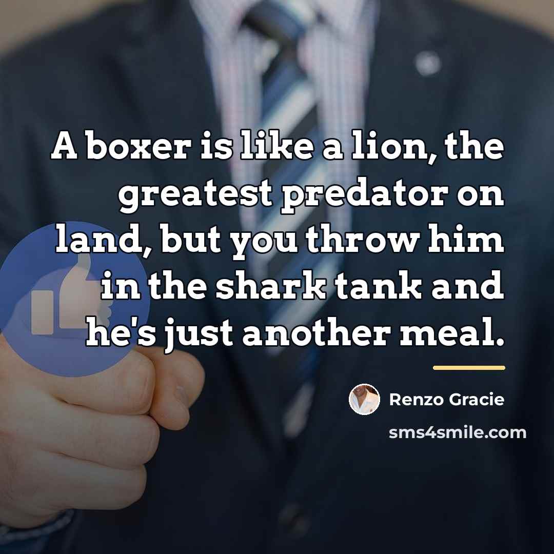 “A boxer is like a lion, the greatest predator on…” quote by Renzo Gracie