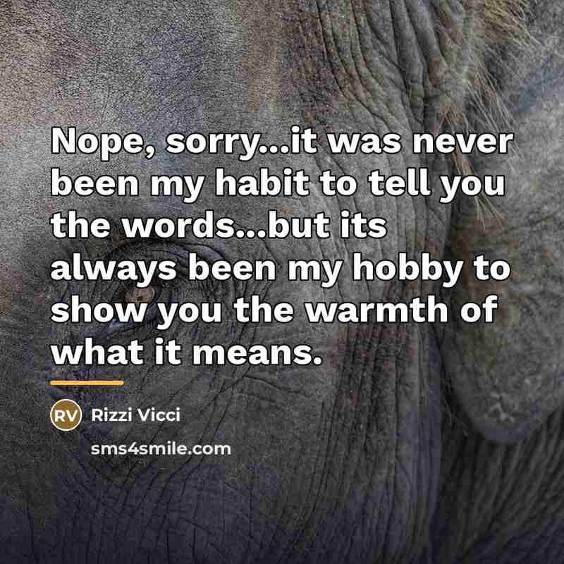 “Nope, sorry...it was never been my habit to tell you…” quote by Rizzi Vicci
