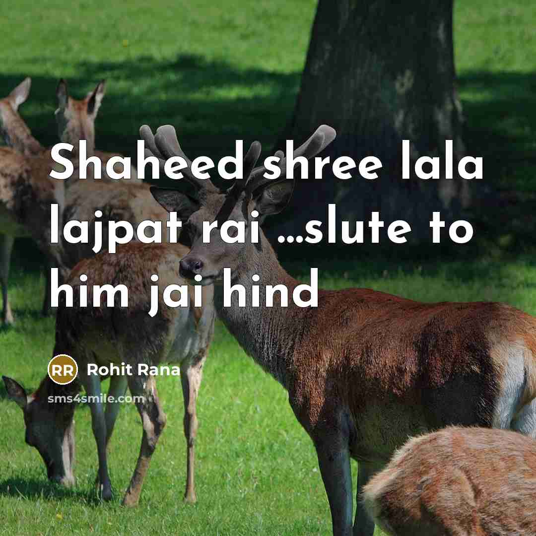 “Shaheed shree lala lajpat rai ......slute to him jai hind…” quote by Rohit Rana