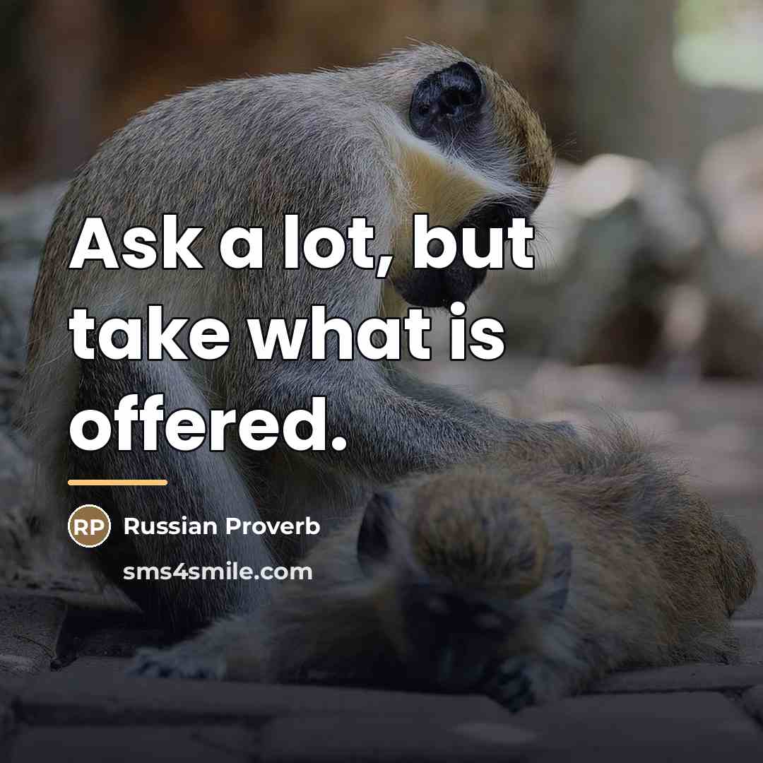 “Ask a lot, but take what is offered.…” quote by Russian Proverb