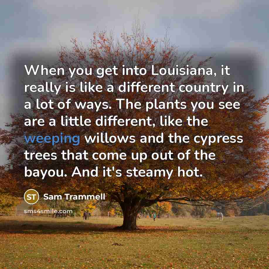 “When you get into Louisiana, it really is like a…” quote by Sam Trammell