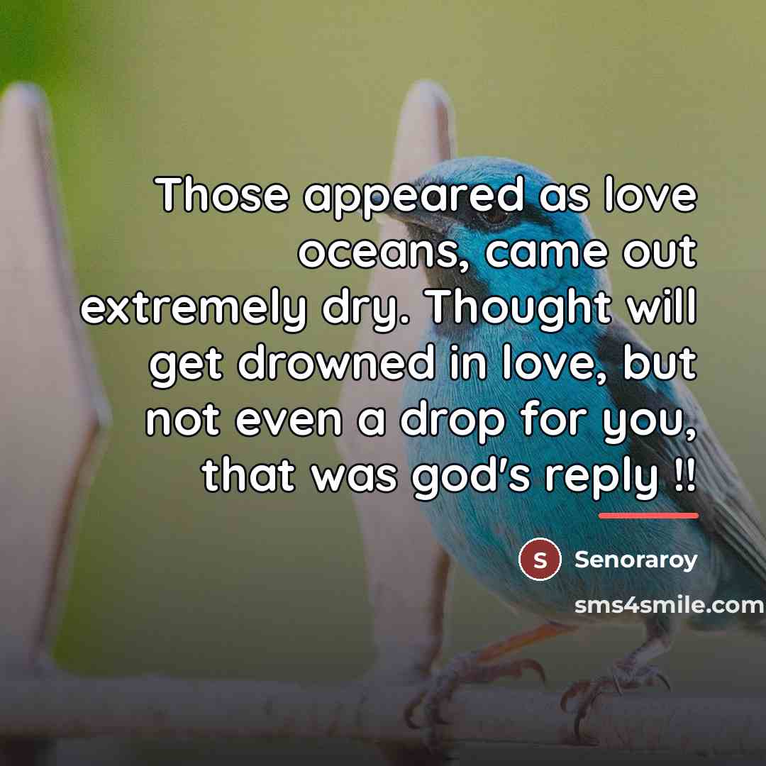 “Those appeared as love oceans, came out extremely dry. Thought…” quote by Senoraroy