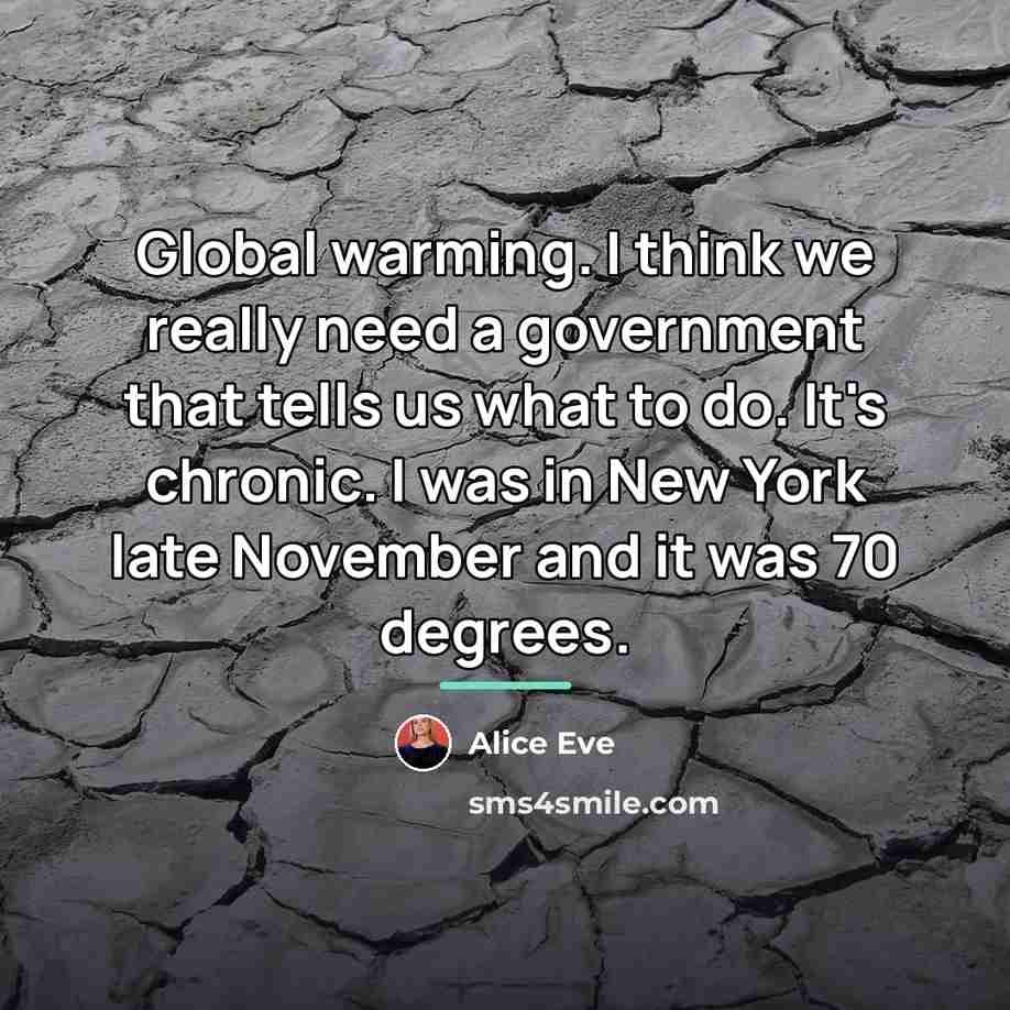 “Global warming. I think we really need a government that…” quote by Alice Eve