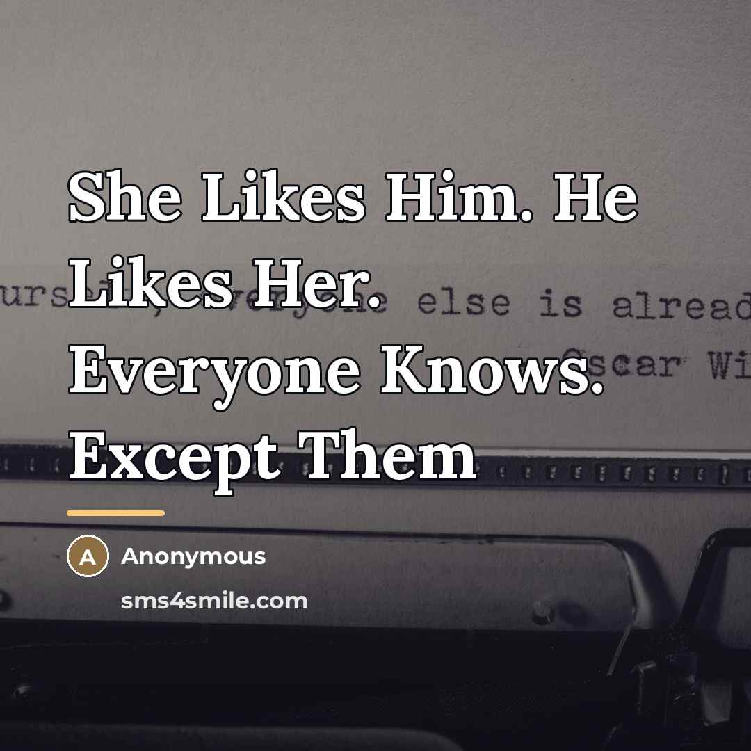 “She Likes Him. He Likes Her. Everyone Knows. Except Them…” quote by Anonymous