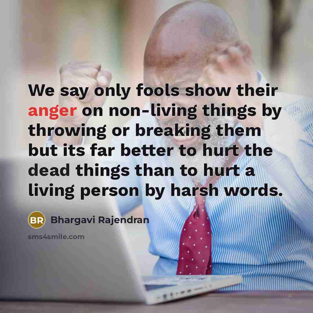 “We say only fools show their anger on non-living things…” quote by Bhargavi Rajendran