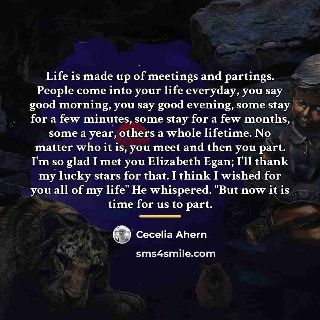 “Life is made up of meetings and partings. People come…” quote by Cecelia Ahern