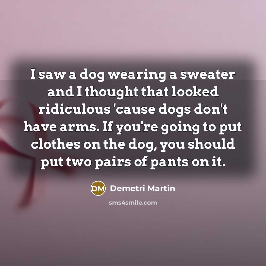 “I saw a dog wearing a sweater and I thought…” quote by Demetri Martin