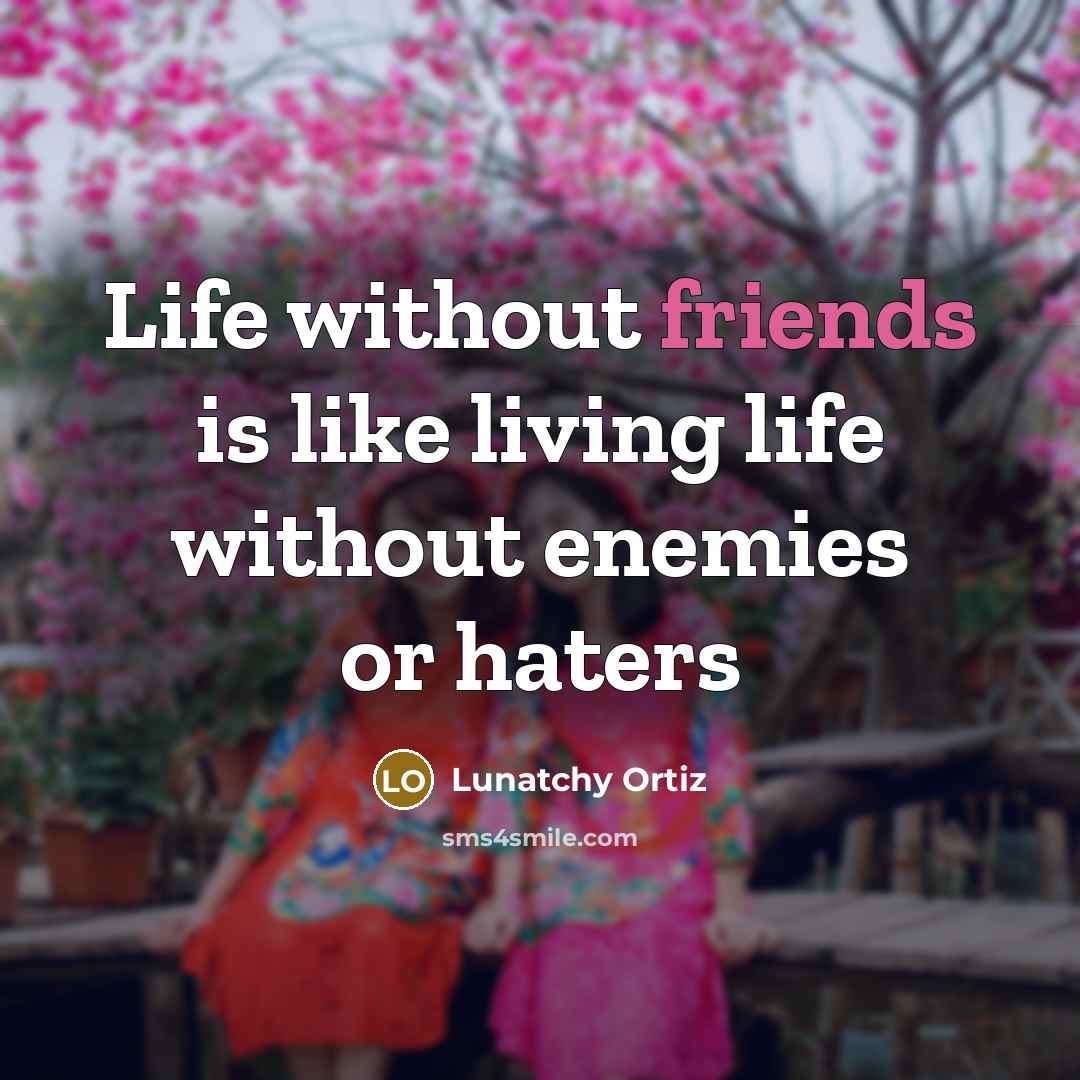 “Life without friends is like living life without enemies or haters” quote by Lunatchy Ortiz