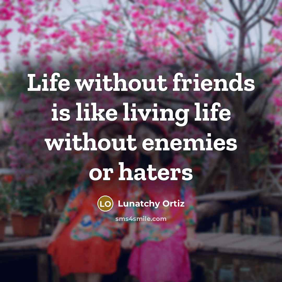 “Life without friends is like living life without enemies or haters” quote by Lunatchy Ortiz