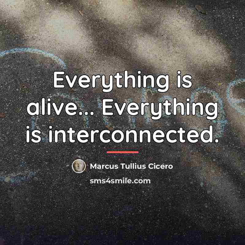 “Everything is alive... Everything is interconnected.…” quote by Marcus Tullius Cicero