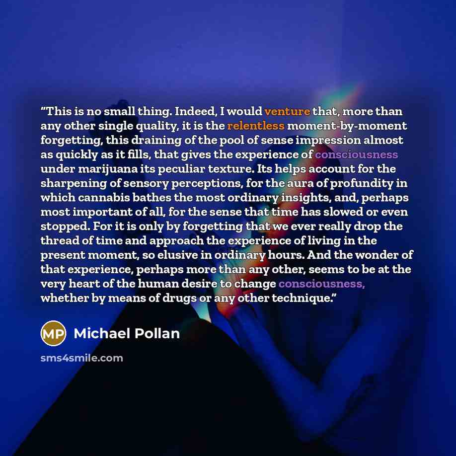 “This is no small thing. Indeed, I would venture that, more than any other single quality, it is the relentless moment-by-moment forgetting, this draining of the pool of sense impression almost as quickly as it fills, that gives the experience of consciousness under marijuana its peculiar texture…” quote by Michael Pollan