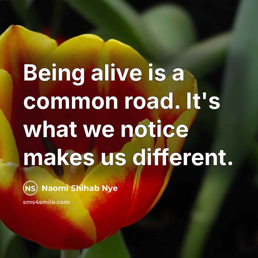 “Being alive is a common road. It's what we notice…” quote by Naomi Shihab Nye