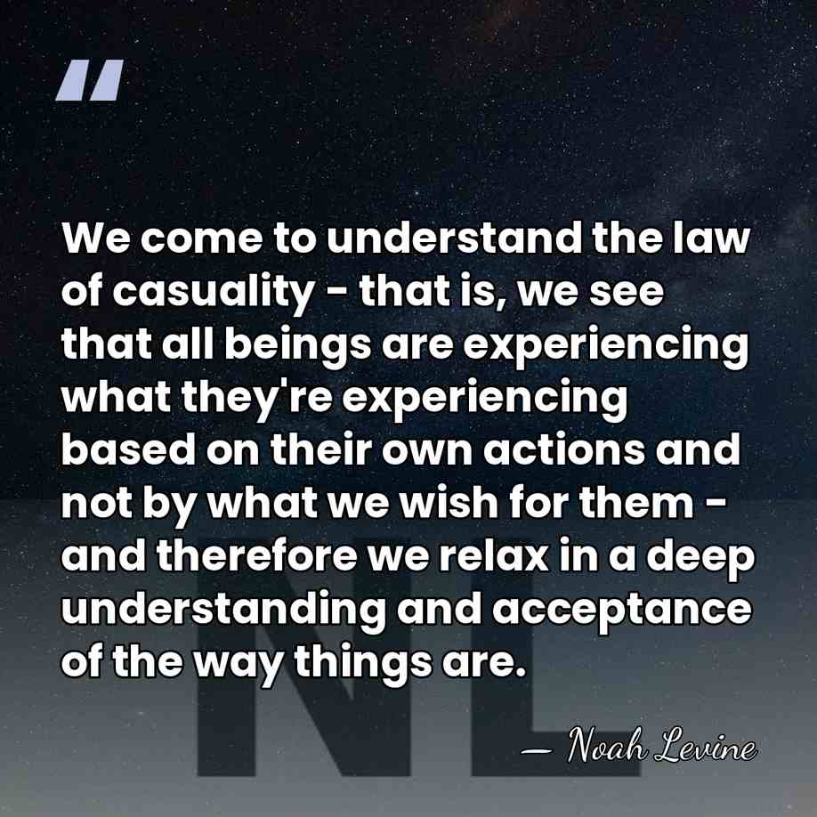 We come to understand the law of casuality - that is, we&hellip; - Noah Levine