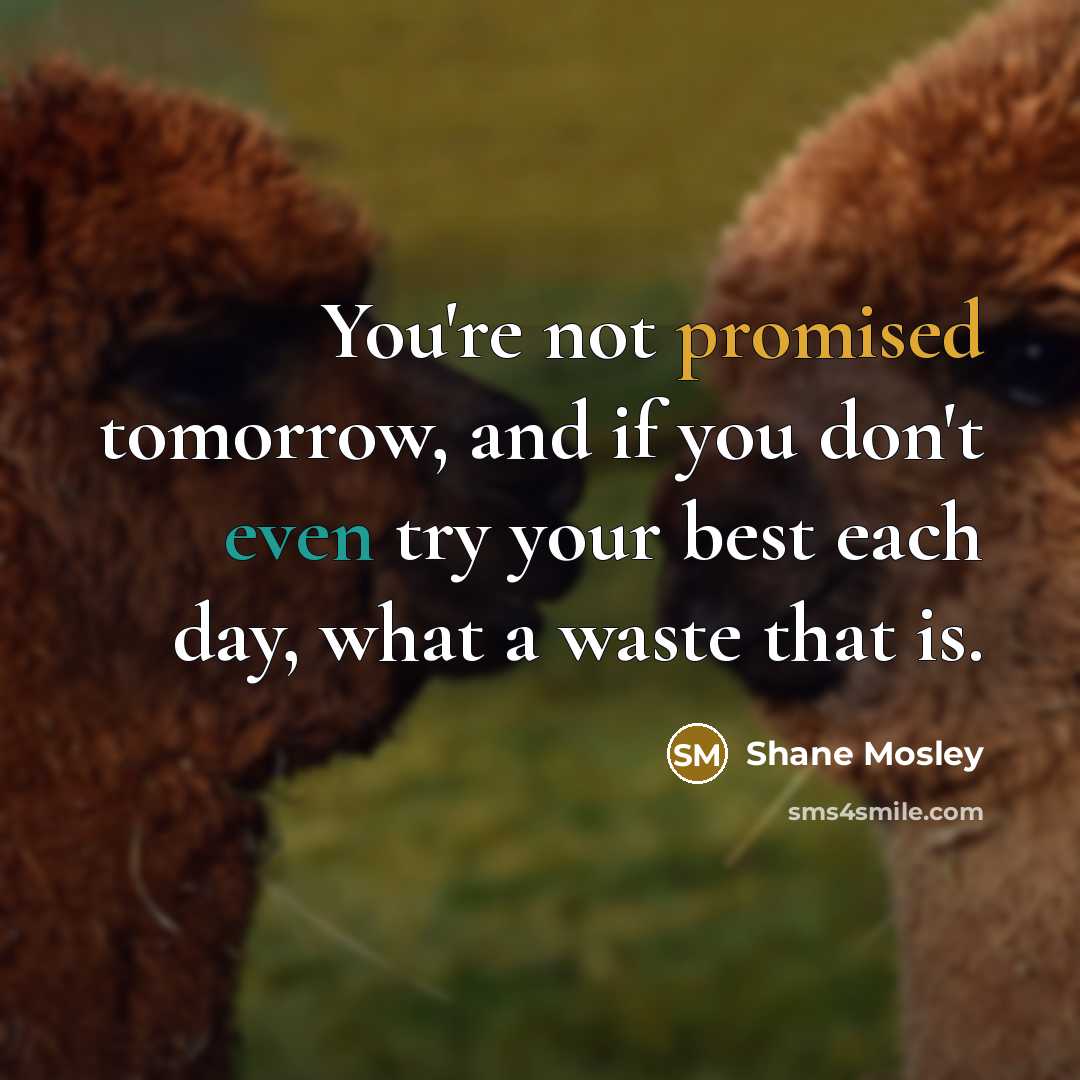 “You're not promised tomorrow, and if you don't even try…” quote by Shane Mosley