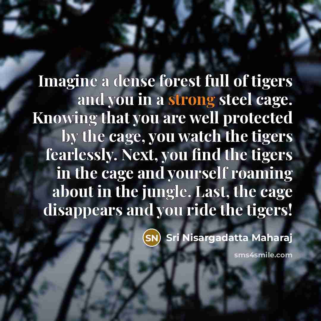 “Imagine a dense forest full of tigers and you in…” quote by Sri Nisargadatta Maharaj