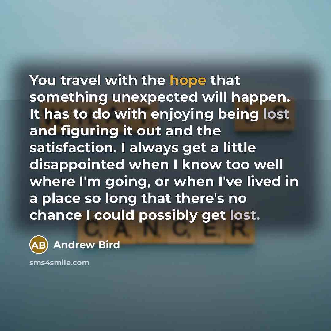 “You travel with the hope that something unexpected will happen.…” quote by Andrew Bird