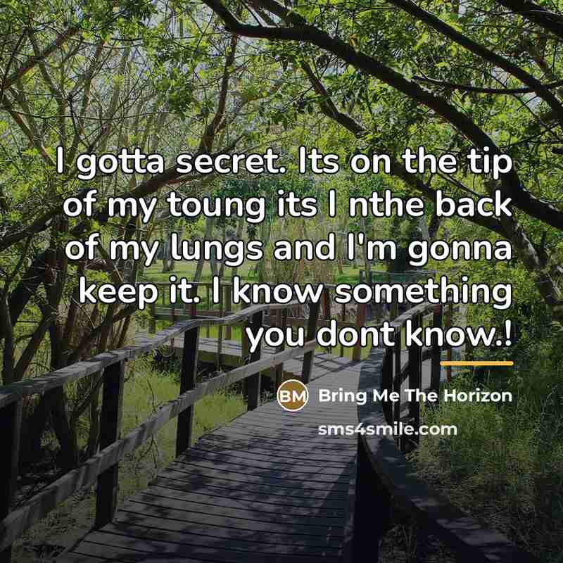 “I gotta secret. Its on the tip of my toung…” quote by Bring Me The Horizon
