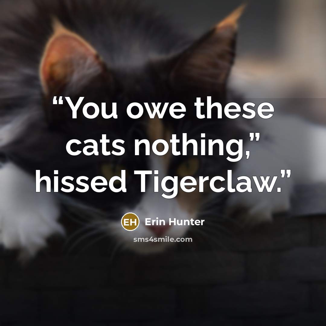 “You owe these cats nothing,” hissed Tigerclaw.” quote by Erin Hunter