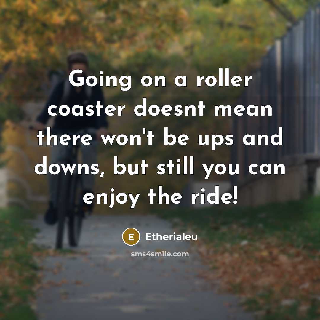 “Going on a roller coaster doesnt mean there won't be ups and downs, but still you can enjoy the ride!” quote by Etherialeu