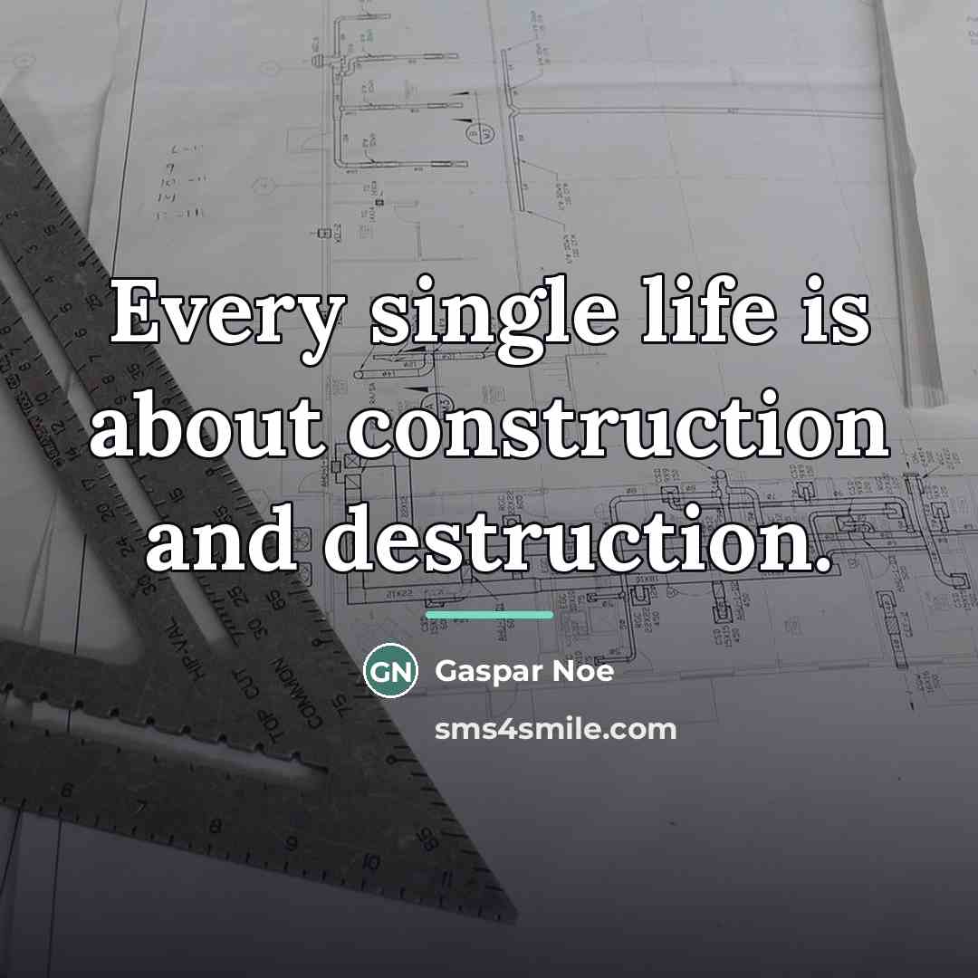 “Every single life is about construction and destruction.…” quote by Gaspar Noe