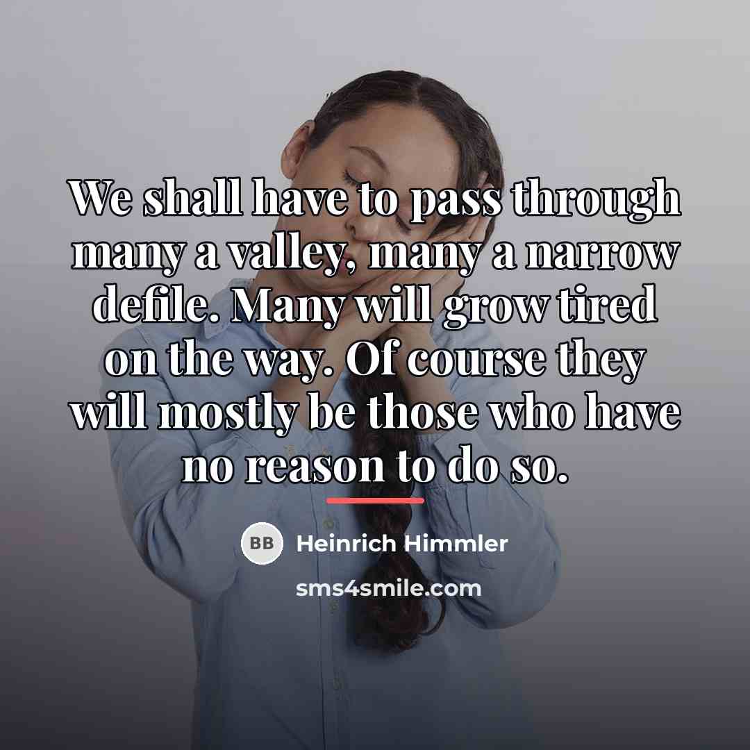 “We shall have to pass through many a valley, many…” quote by Heinrich Himmler