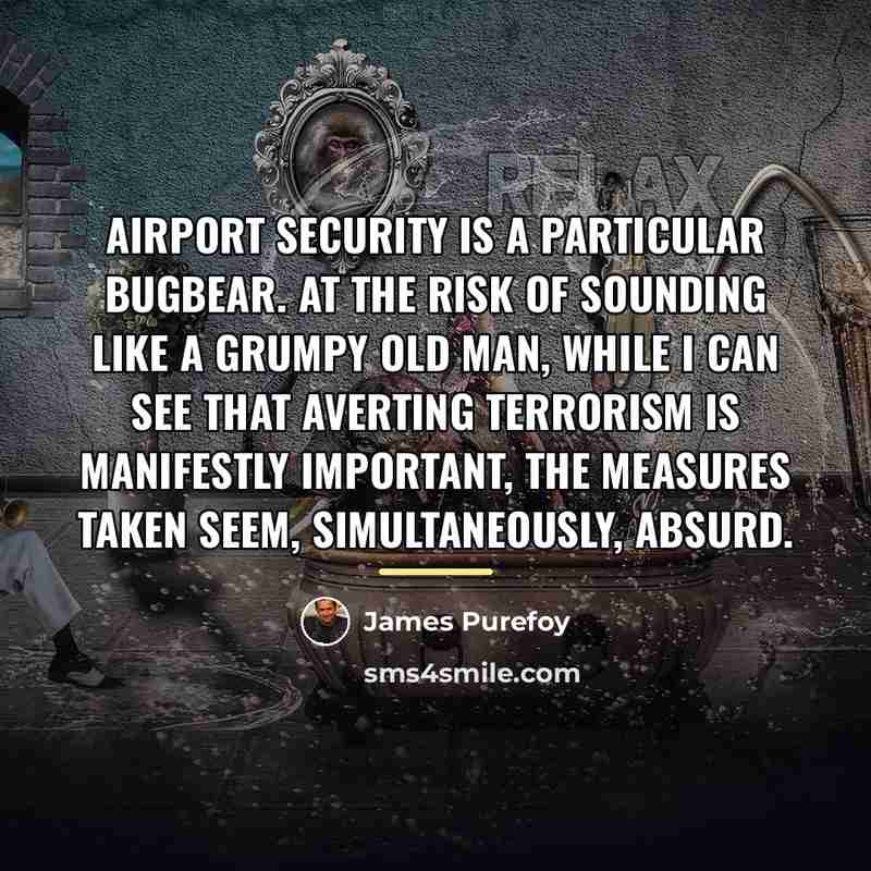 “Airport security is a particular bugbear. At the risk of…” quote by James Purefoy