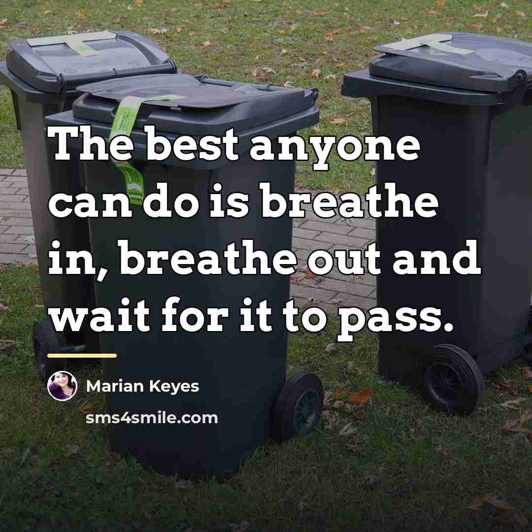 “The best anyone can do is breathe in, breathe out…” quote by Marian Keyes