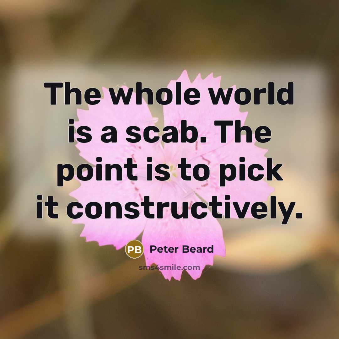 “The whole world is a scab. The point is to…” quote by Peter Beard