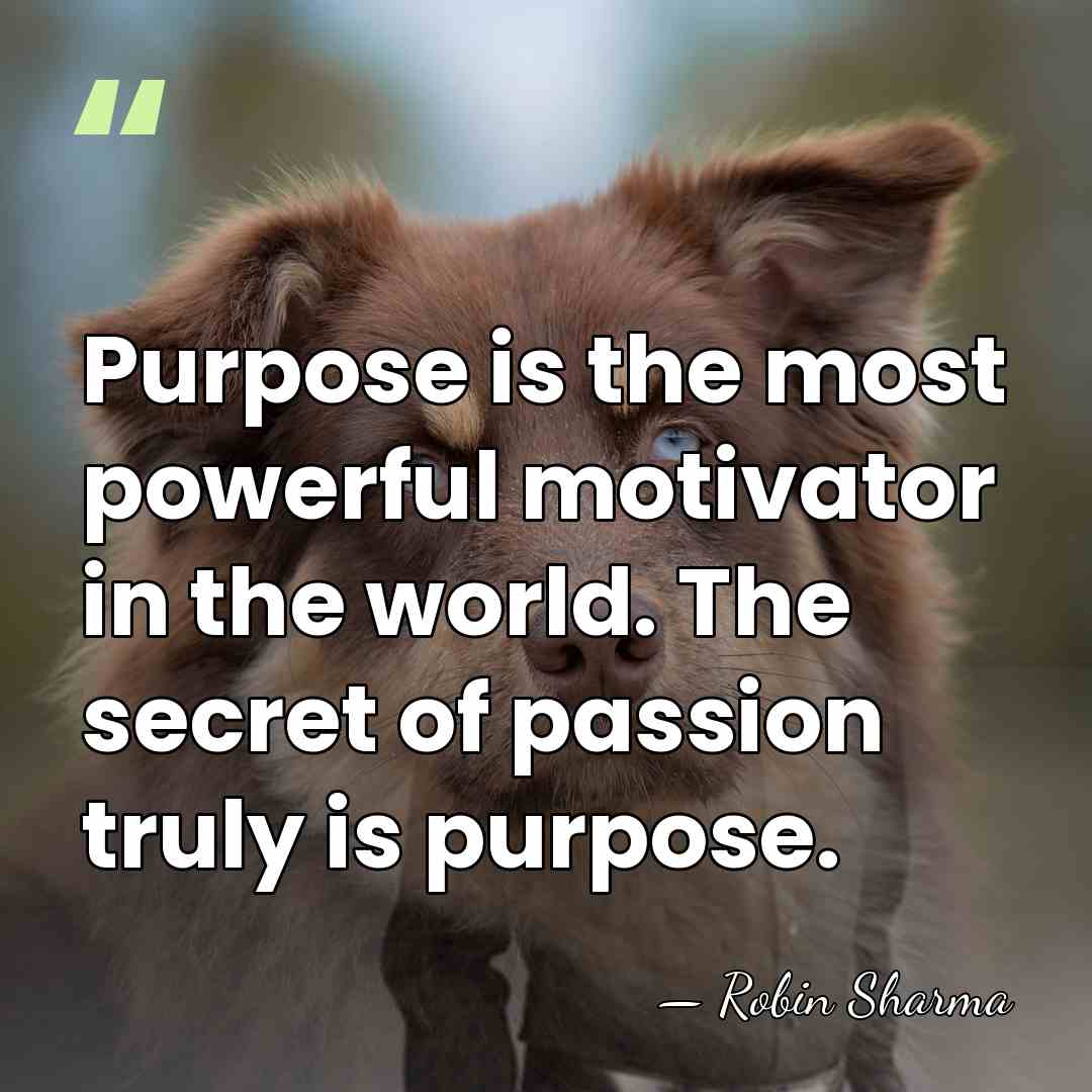 Purpose is the most powerful motivator in the world. The secret of&hellip; - Robin Sharma